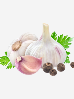export vegetables in sri lanka