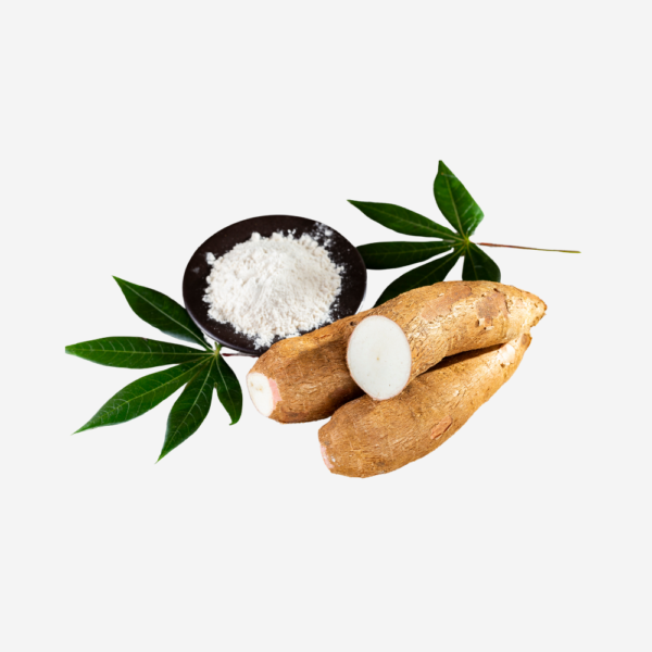 export vegetables in sri lanka