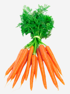 export vegetables in sri lanka