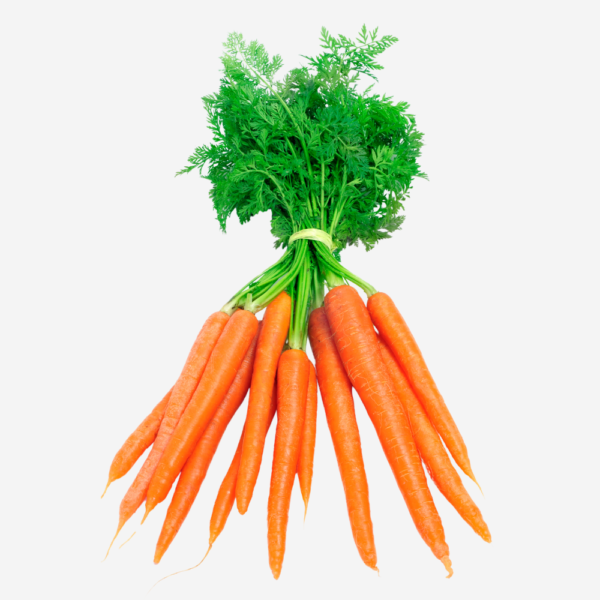 12 export vegetables in sri lanka