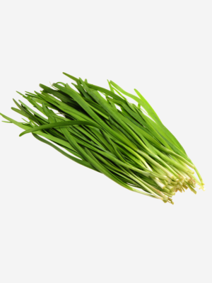 export vegetables in sri lanka