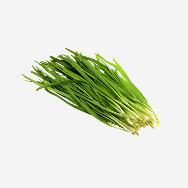 13 export vegetables in sri lanka