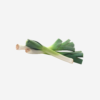 export vegetables in sri lanka