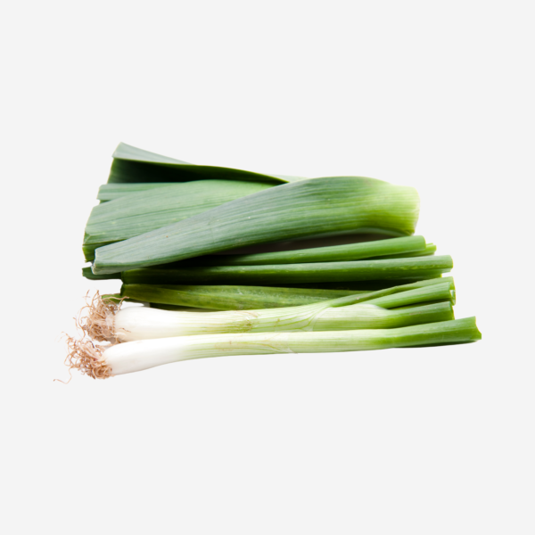15 export vegetables in sri lanka