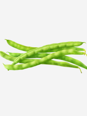 export vegetables in sri lanka