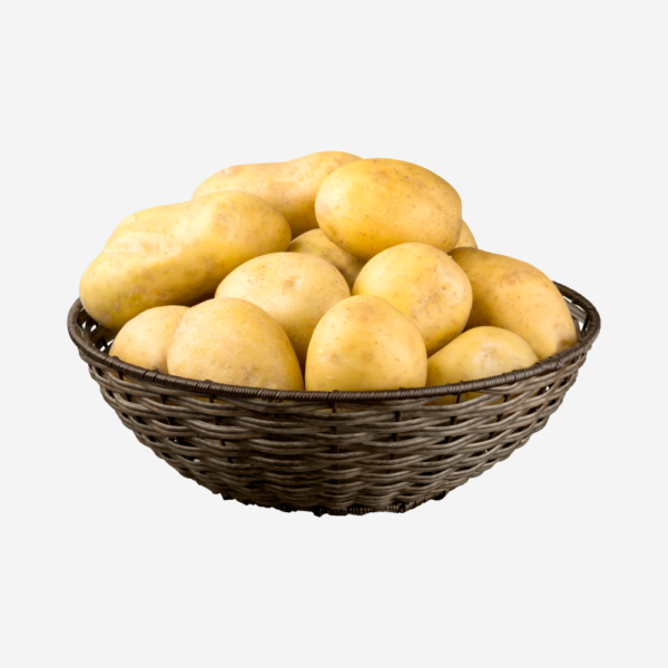 export vegetables in sri lanka