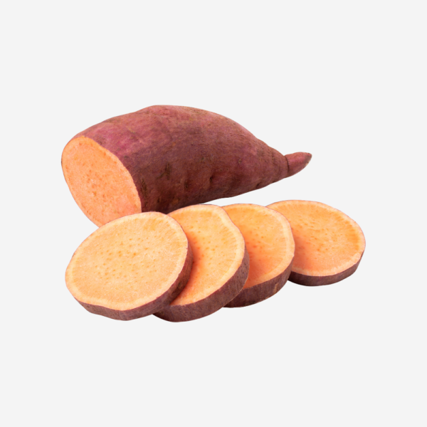 Export vegetables in sri lanka
