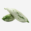 export vegetables in sri lanka