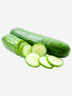 export vegetalbles in sri lanka
