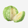 export vegetables in sri lanka