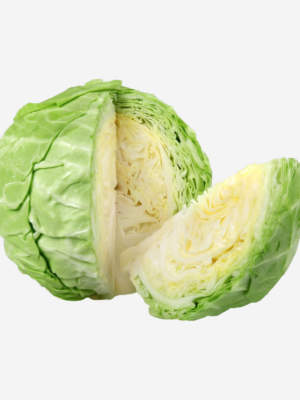export vegetables in sri lanka