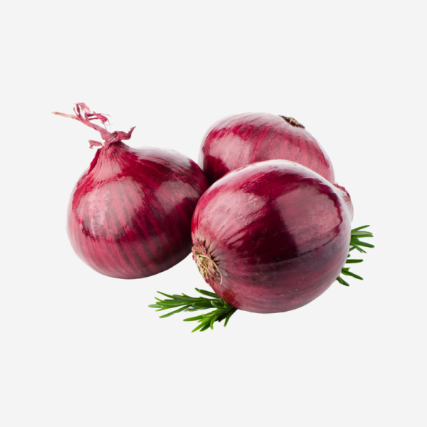 export vegetables in sri lanka