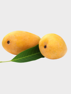 infiniteous fresh
