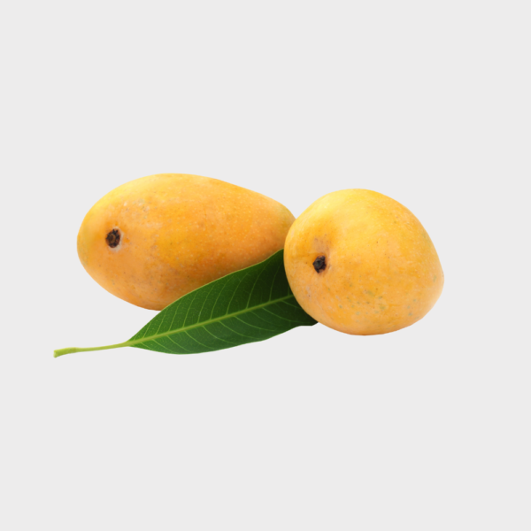 infiniteous fresh