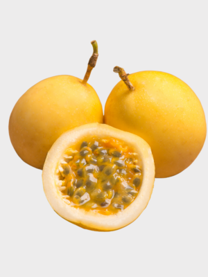 infinteous fresh