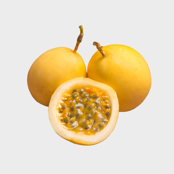 infinteous fresh